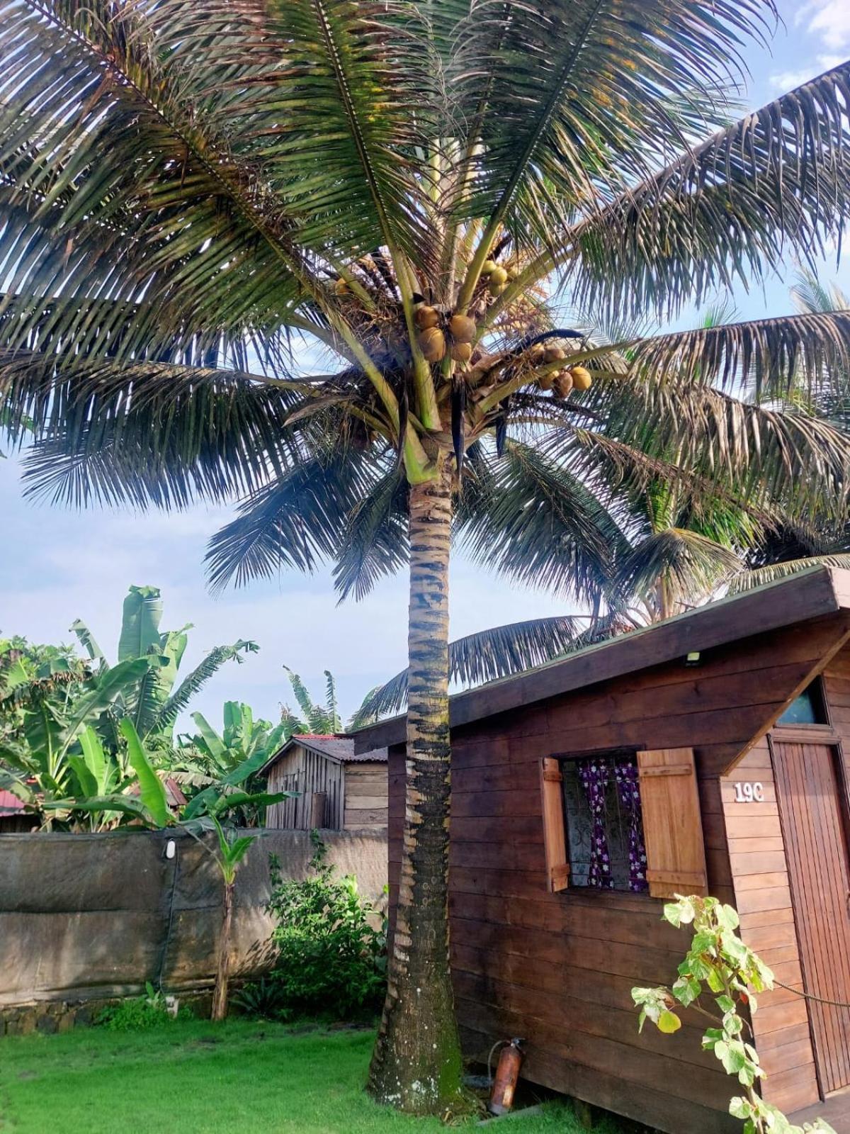 GENTE D'AQUI Ngê D'ai êê Vila Sao Tome Exterior foto