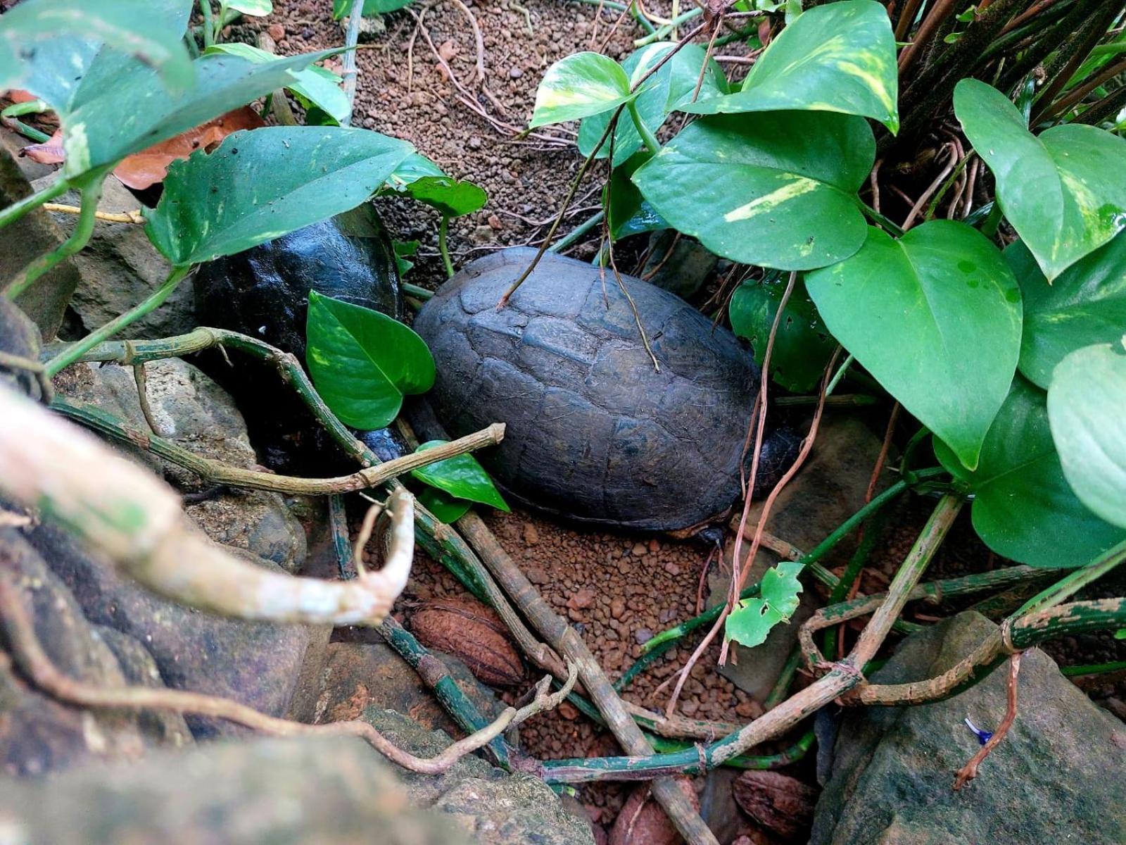 GENTE D'AQUI Ngê D'ai êê Vila Sao Tome Exterior foto